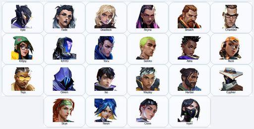 AP | 39 Skins + 22 Agents + 535 RP | CYRAX Vandal / Singularity Phantom / Divergence Staff / Storm Maw Axe | Full Access