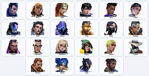 NA | 1 Skins + 22 Agents | Wayfinder Shorty | Full Access
