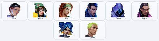 EU/Iron | 13 Skins + 8 Agents + 175 RP | Full Access