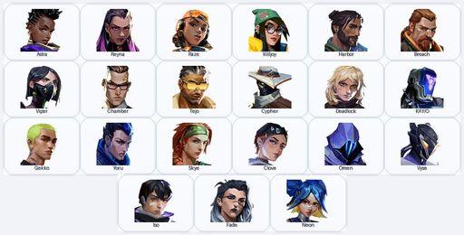 AP | 85 Skins + 21 Agents + 850 RP | Full Access