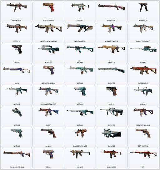 [PSN/PC] | Level 221 | Ranked Ready | 74 Operators | 383 Skins | 16x Black Ice | Game Not Purchased | Full Access