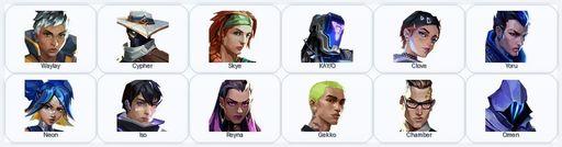 NA | 30 Skins + 12 Agents | Solarex Relic / 5 Years // Beta Remastered Knife / Araxys Vandal / Ion Vandal | Full Access