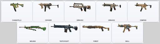 [PSN/PC] | Level 63 | Ranked Ready | 28 Operators | 21 Skins | Has The Game | Full Access
