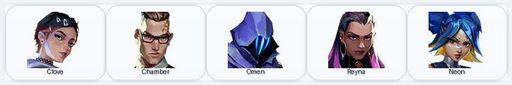 EU | 1 Skins + 5 Agents | Full Access