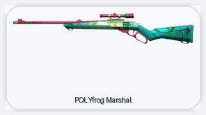 EU | 1 Skins | POLYfrog Marshal | Full Access