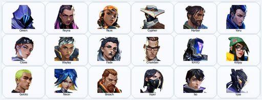 LA | 2 Skins + 18 Agents + 350 RP | Radiant Crisis 001 Baseball Bat / Aemondir Bucky | Full Access