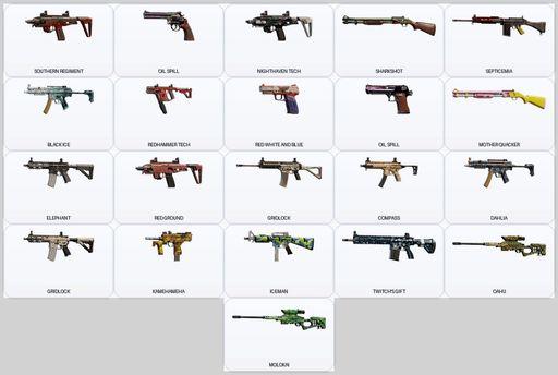 [PC] | Level 82 | Ranked Ready | 54 Operators | 43 Skins | 1x Black Ice | Game Not Purchased | Full Access