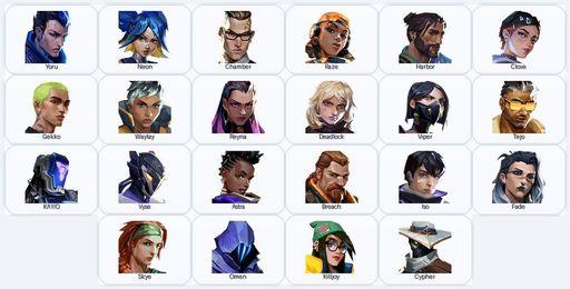 AP | 22 Skins + 22 Agents + 375 RP | Araxys Phantom / Torque Coiler / Reaver Vandal / Torque Classic | Full Access