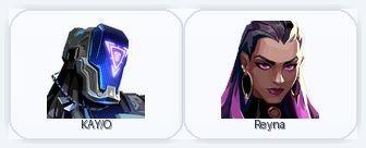 EU | 1 Skins + 2 Agents | Wayfinder Shorty | Full Access