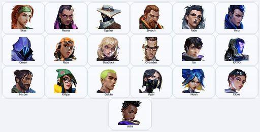 AP | 49 Skins + 19 Agents + 505 RP | Striker Knife / K/TAC Blade / Celestial Fan / Prime Spectre | Full Access